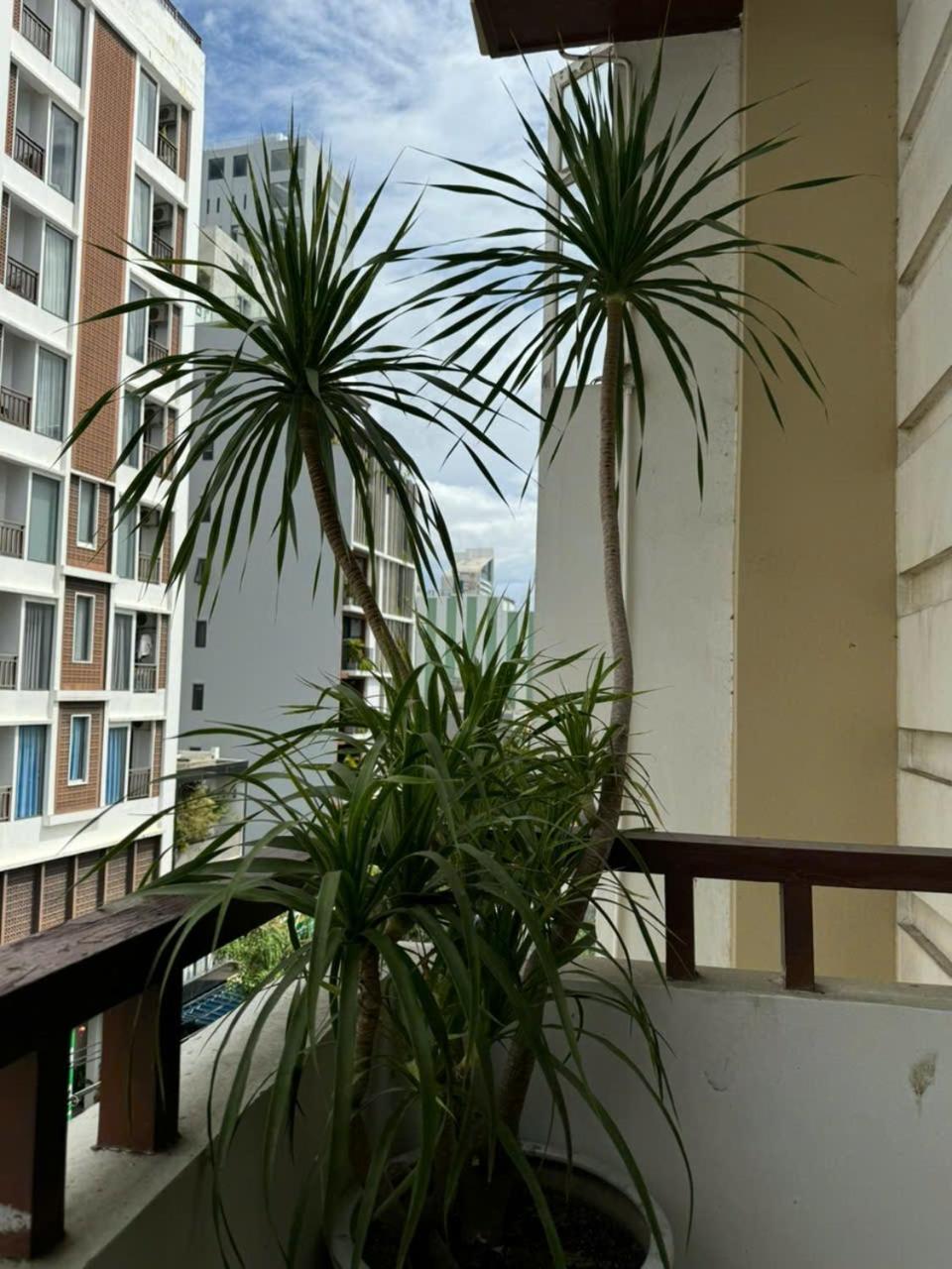 Thanh Hien Hb Hotel Da Nang Exterior photo
